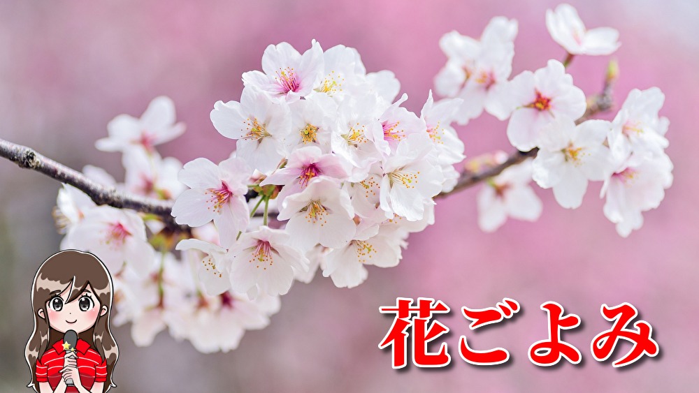 日本の四季を彩る美―日本の花の鑑賞記録