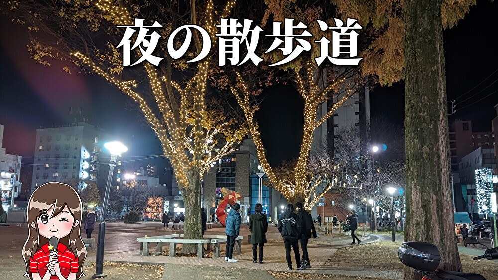 日本全国、夜の街シリーズ