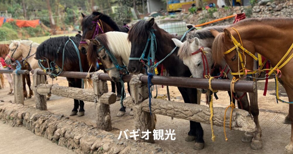 バギオ観光2024